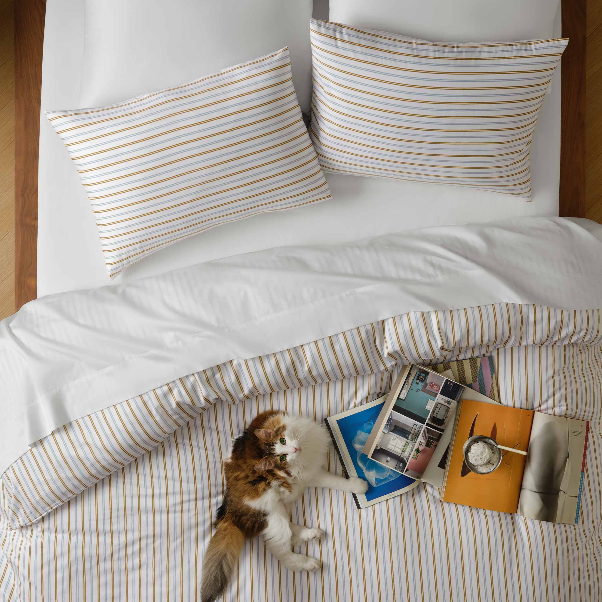 Luxe Sateen Bedding Move-In Bundle