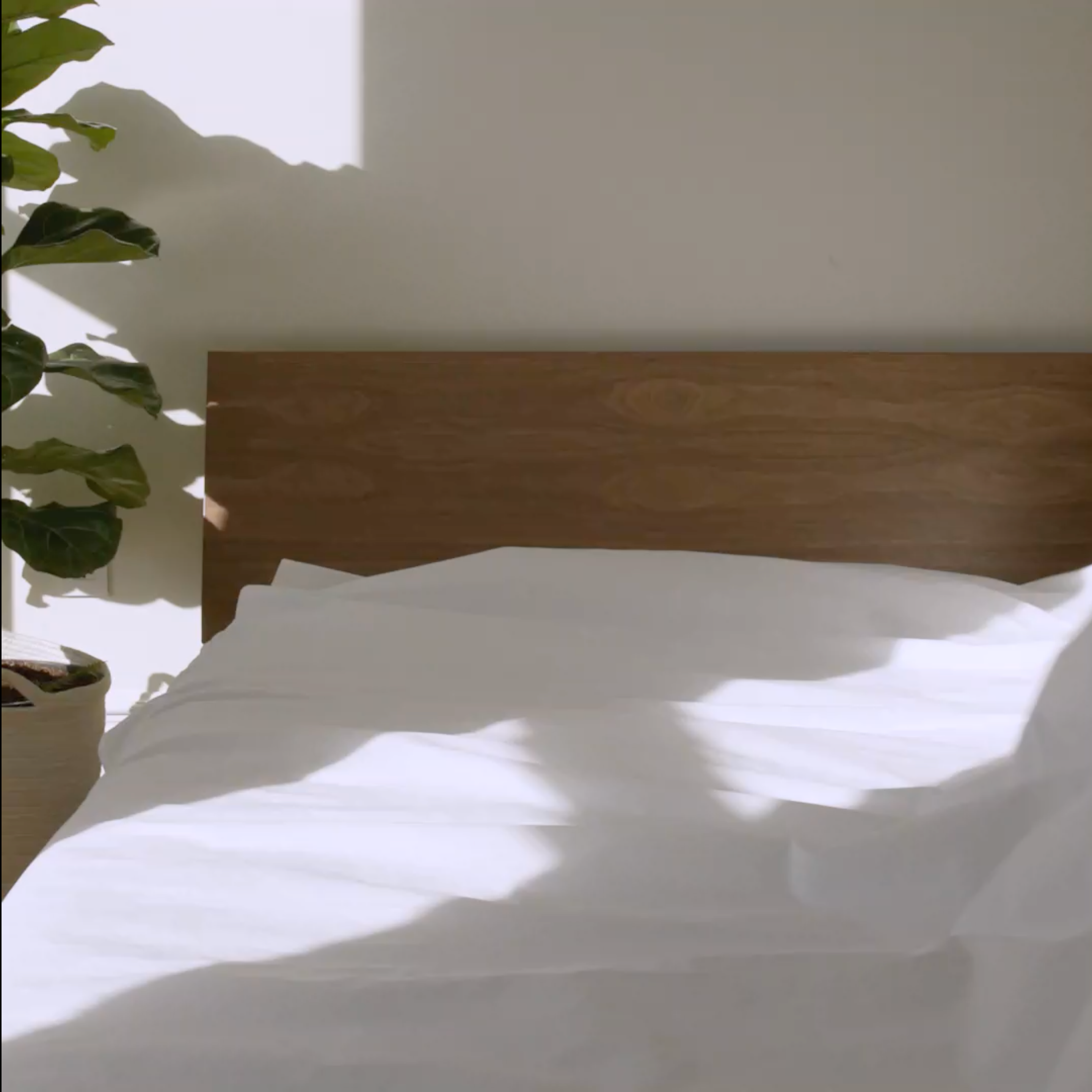 Set of 2 Classic Percale Core Sheet Set Bundle