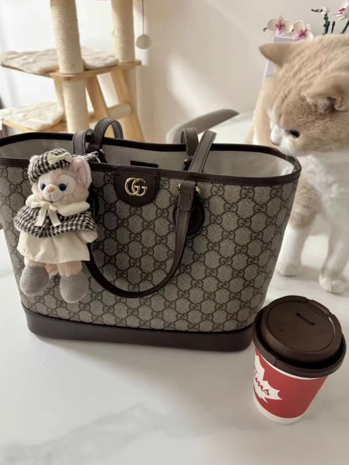 Gucci GG Ophidia Small Tote Bag – 765043