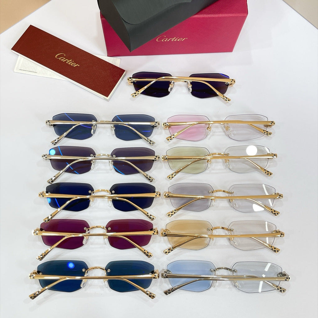 Cartier Sunglasses – CT0474S