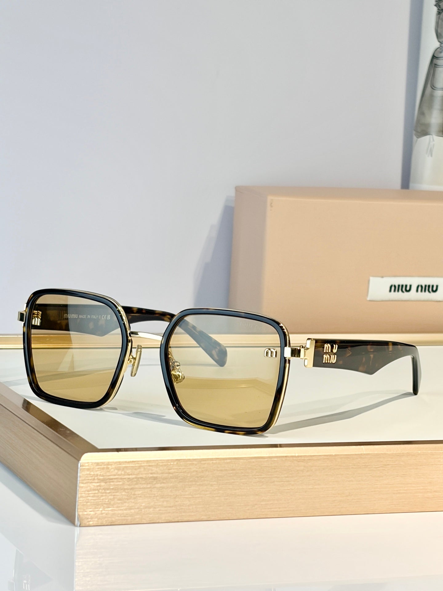 Miu Miu Sunglasses – MU B19
