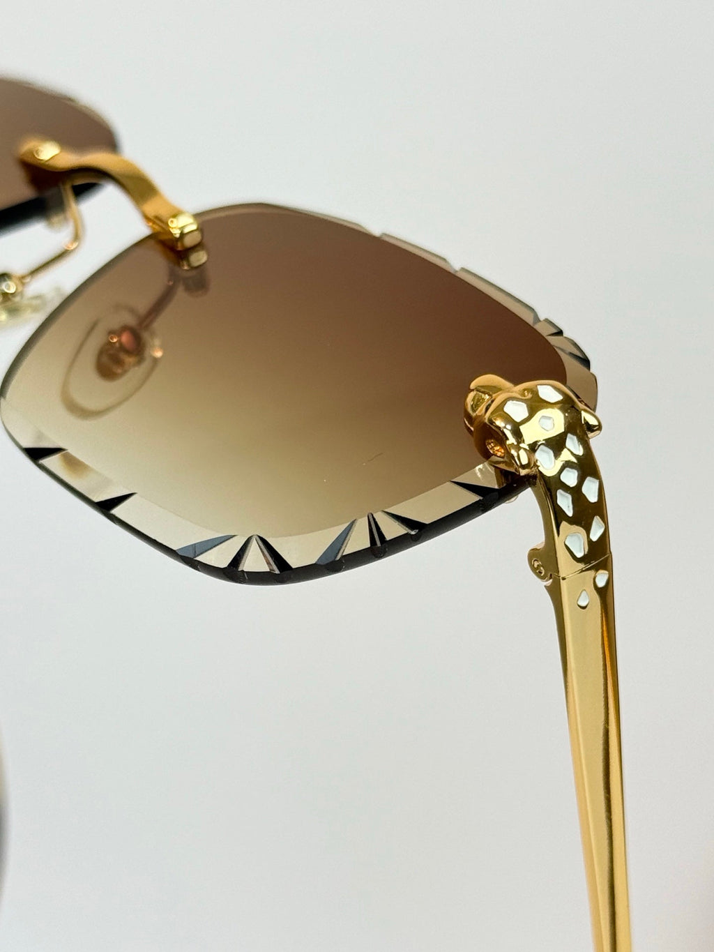 Cartier Sunglasses – CT7450S
