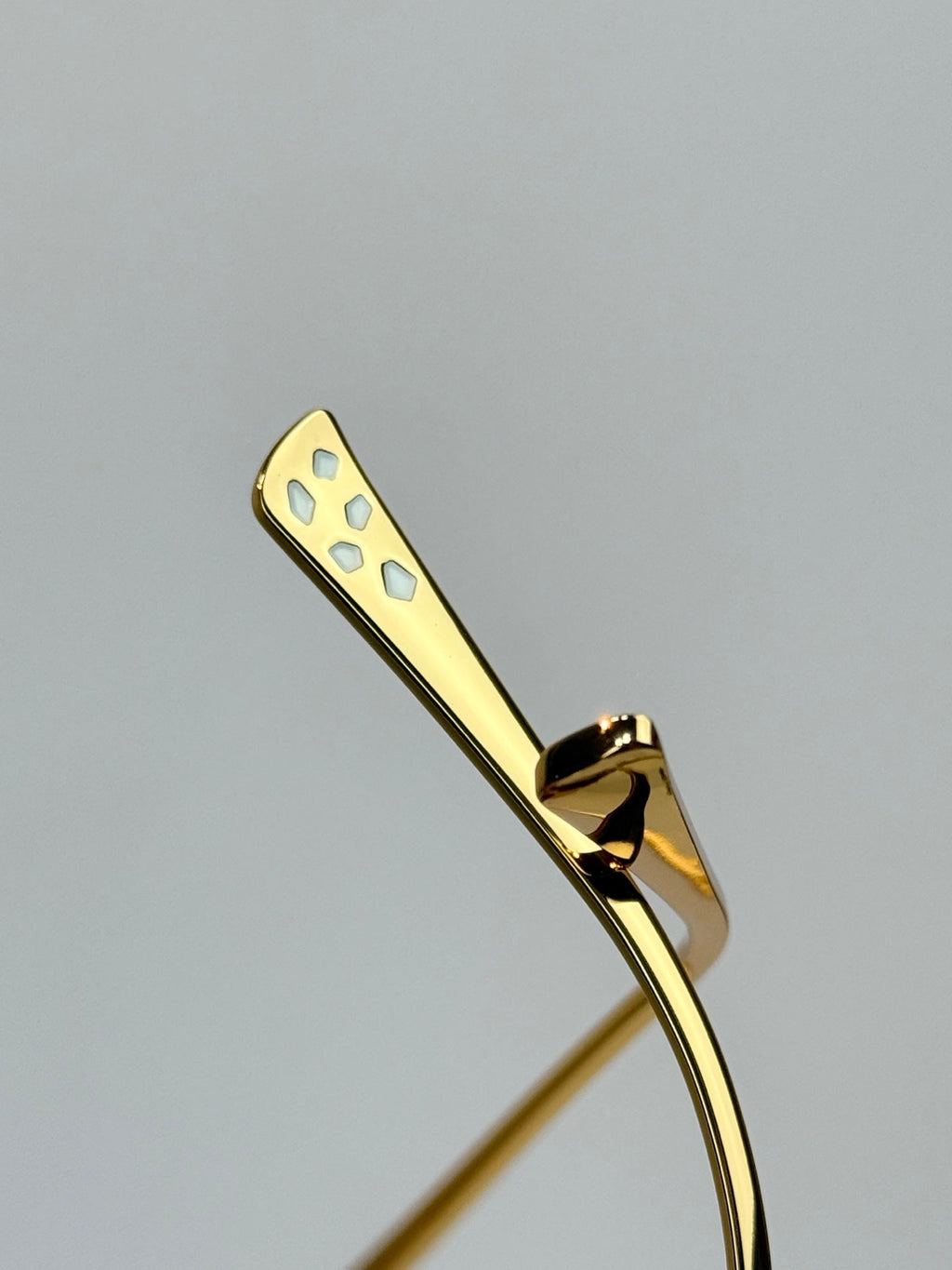 Cartier Sunglasses – CT7450S