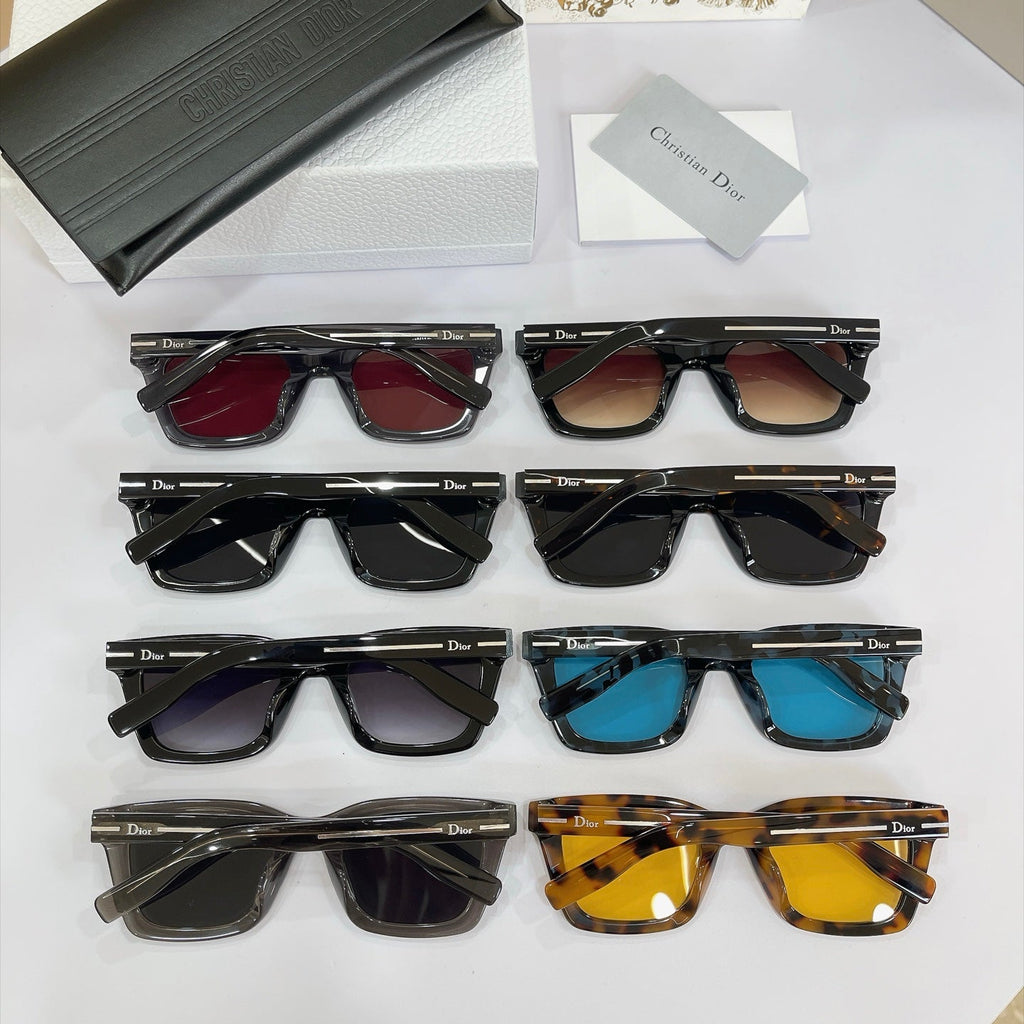 Dior Sunglasses – Dior Line S1F
