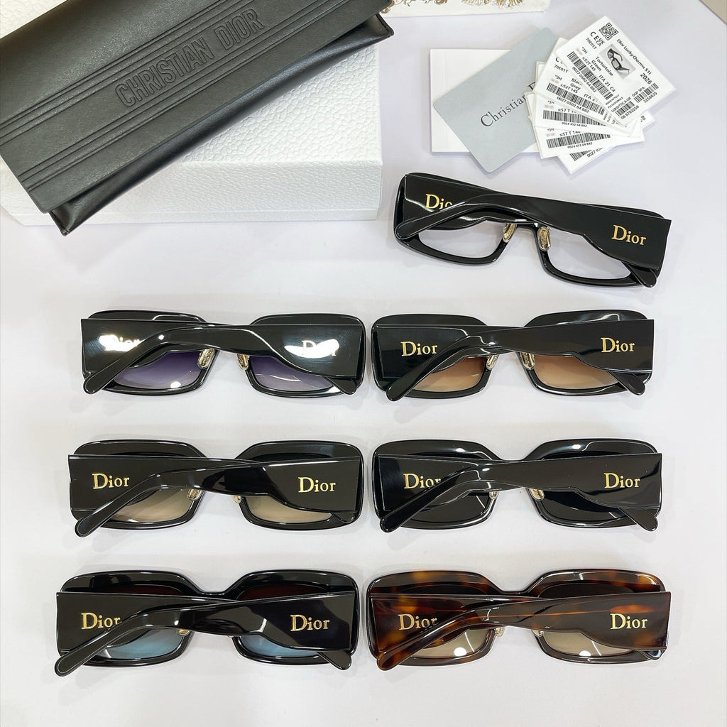 Dior Sunglasses – Lucky Charms S1I